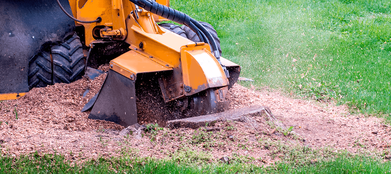 Stump Grinding